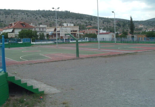 basket